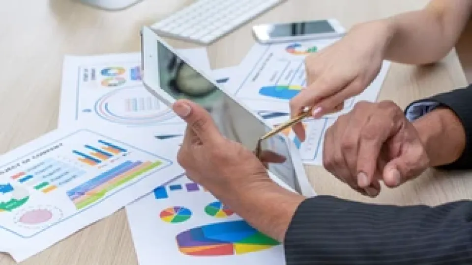 Business Analyst